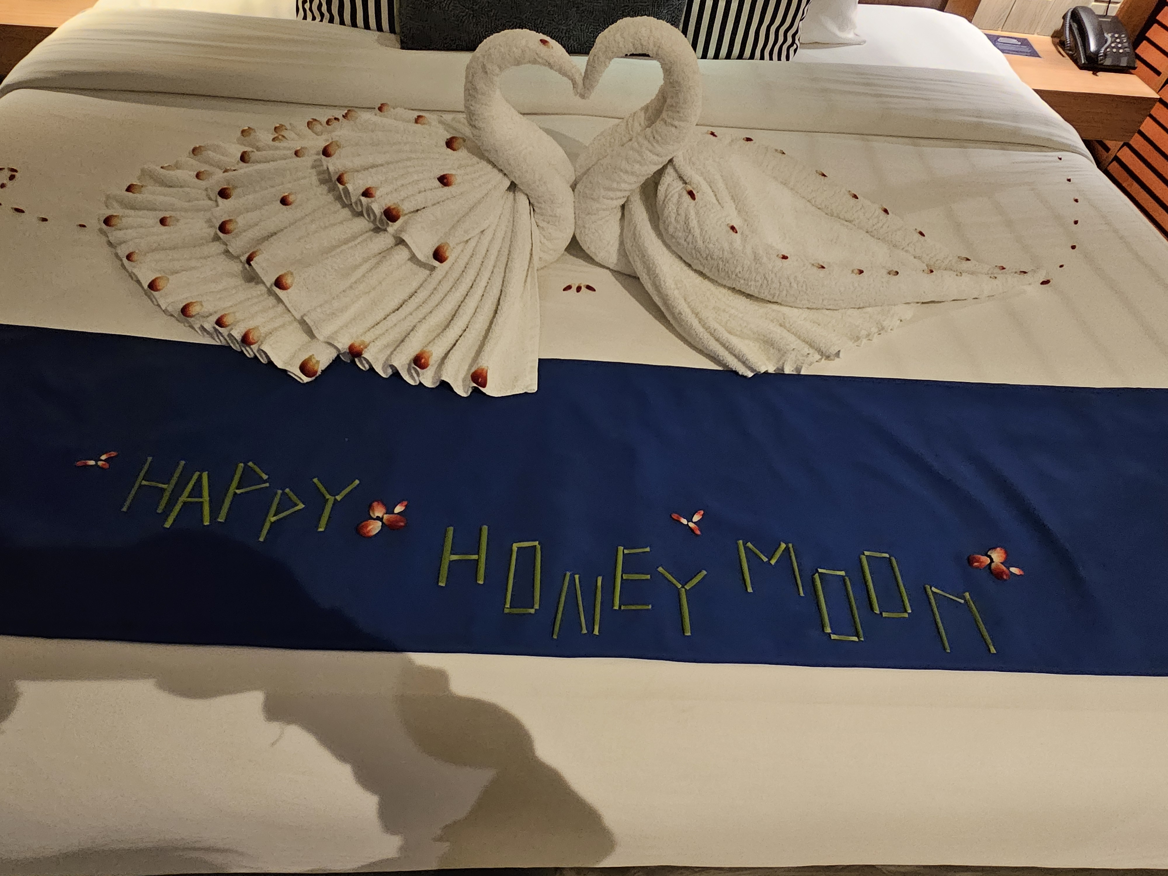 마이카오락 추천이요ㅎㅎ