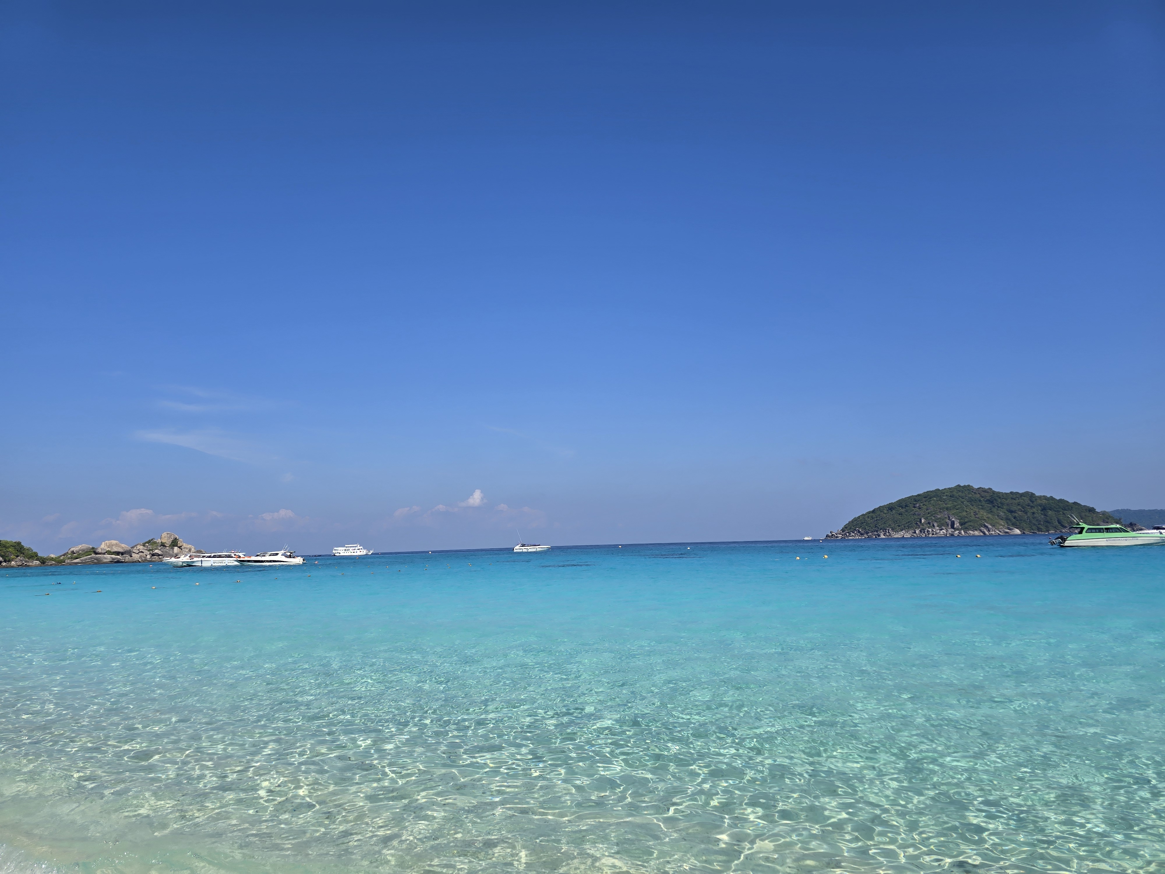 찰리부장님과 샐리과장님과 함께한 행복한 허니문